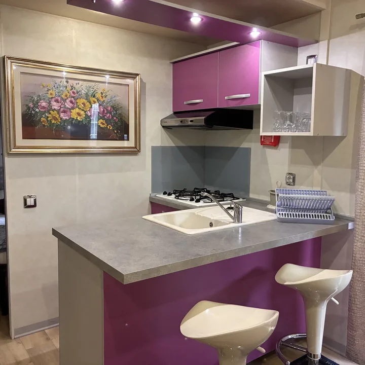 senior deluxe mobile homes_camping verde lago (3)